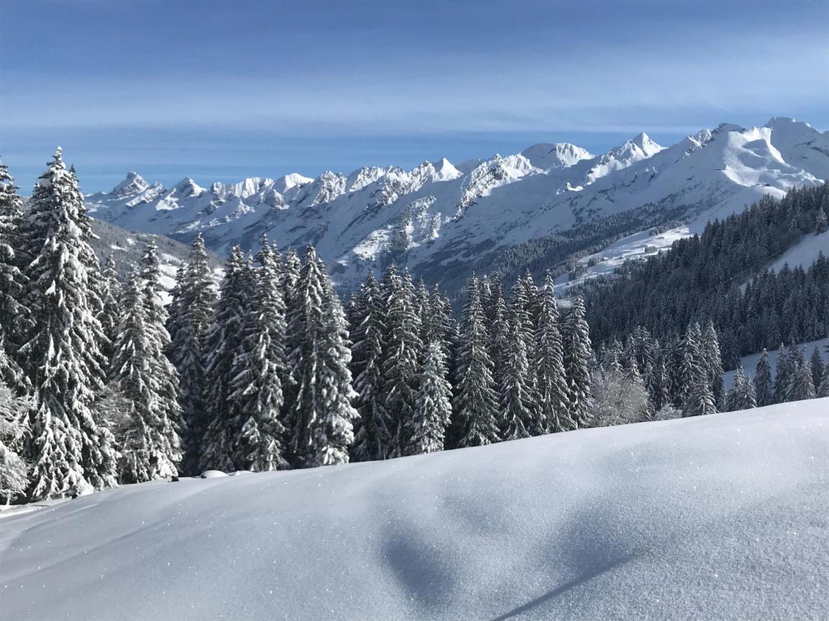 Appartement Lapreski, Spacieux, Proche Lac D'Annecy, Randonnees Montagne Thones Luaran gambar