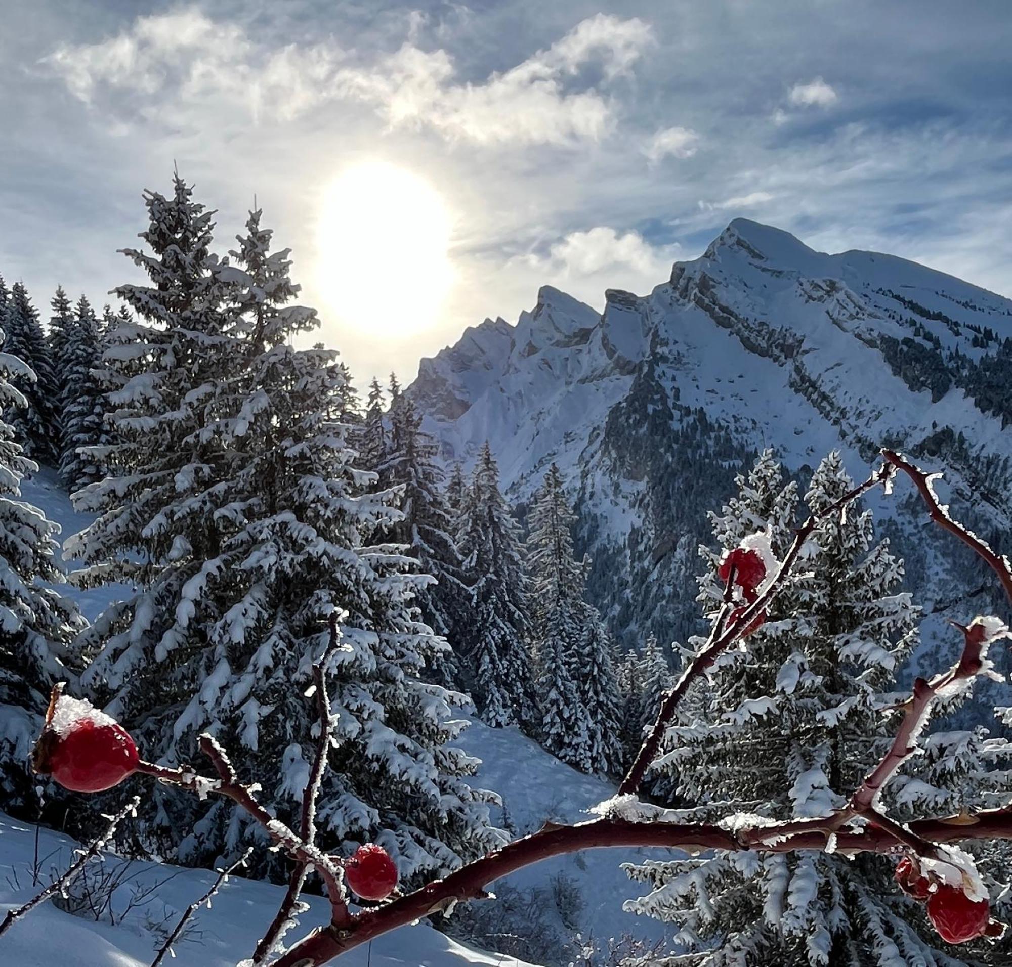 Appartement Lapreski, Spacieux, Proche Lac D'Annecy, Randonnees Montagne Thones Luaran gambar