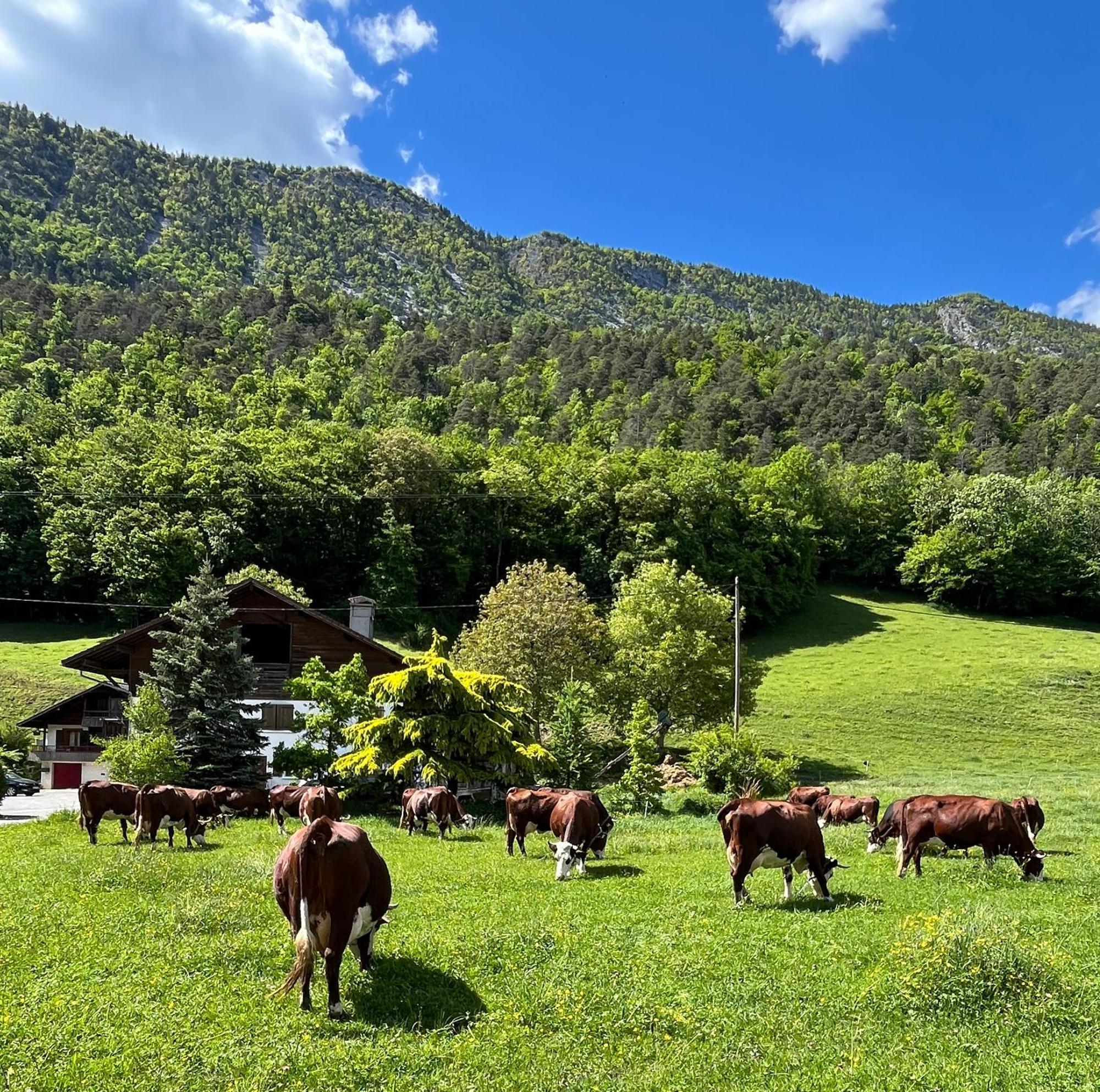 Appartement Lapreski, Spacieux, Proche Lac D'Annecy, Randonnees Montagne Thones Luaran gambar